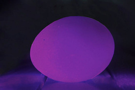 Make an Easter Egg Glow
